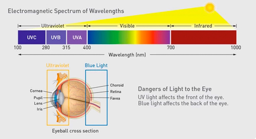 Blue Light: An ocular risk